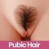 Pubic Hair